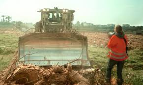 Rachel Corrie